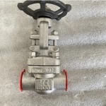 astm a182 f316l gate valve ilan resmi